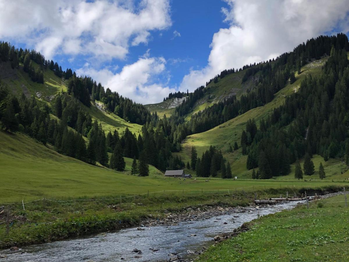 Walli - Und Bergvergnuegen Direkt Vor Der Haustuer * Laterns